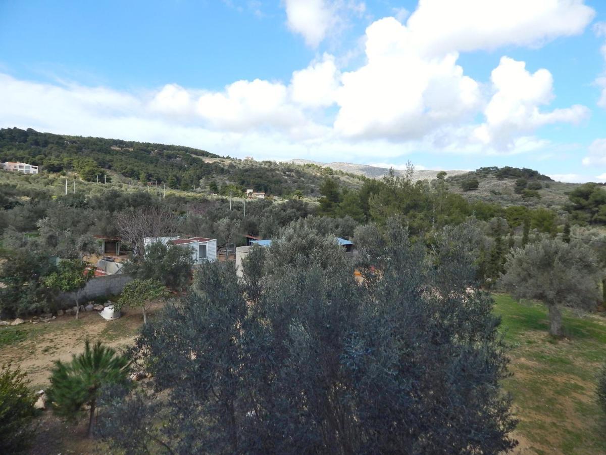 Ferienwohnung Οδυσσεια, Κοντά Σε Αεροδρόμιο, Λιμάνια Και Θάλασσες Keratea Exterior foto