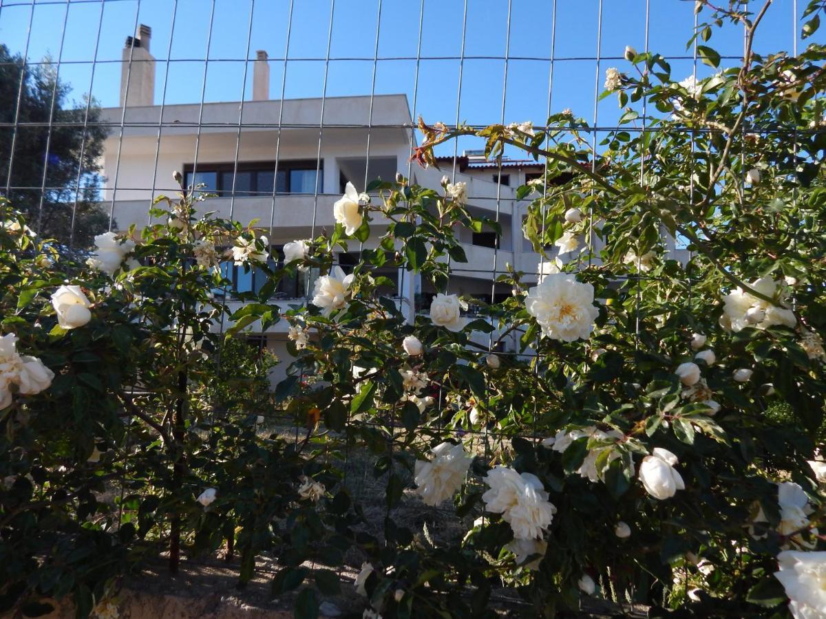 Ferienwohnung Οδυσσεια, Κοντά Σε Αεροδρόμιο, Λιμάνια Και Θάλασσες Keratea Exterior foto