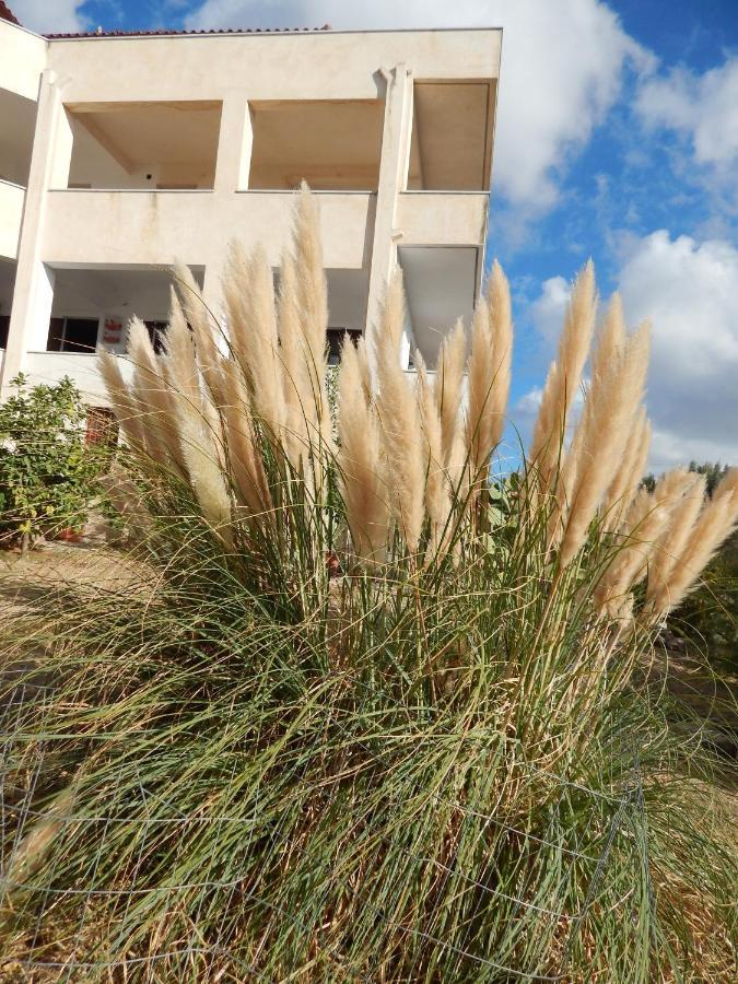 Ferienwohnung Οδυσσεια, Κοντά Σε Αεροδρόμιο, Λιμάνια Και Θάλασσες Keratea Exterior foto