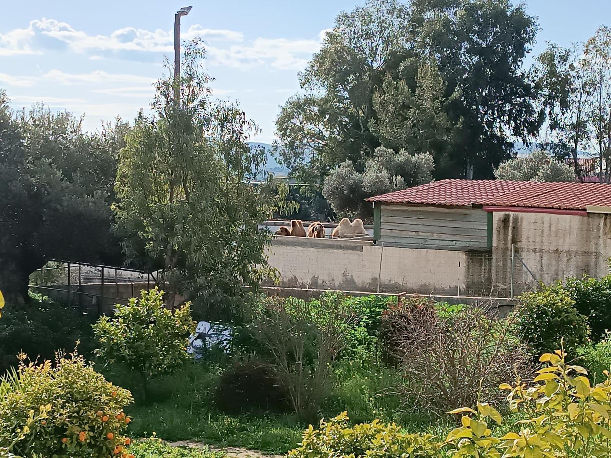 Ferienwohnung Οδυσσεια, Κοντά Σε Αεροδρόμιο, Λιμάνια Και Θάλασσες Keratea Exterior foto